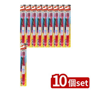 _r[TL^y10Zbgz GrX B-3607M v~APA̔E6񃌃M[ ӂ [Pie/1{] | GrX uV v~APA nuV ז uV 