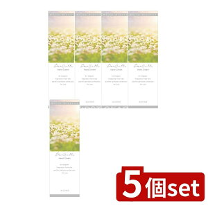 y5Zbgz ACXϕi pR nhN[ [Pie/50g] | ACX nhN[ pR zCgubT  XLPA ێ 蔧 ϕi { ei 