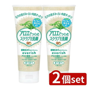 _r[TL^y2Zbgz Eei GubV AGXNu [Pie/135g] | GubV  AGXNu XNu A܂ AGt N~k  