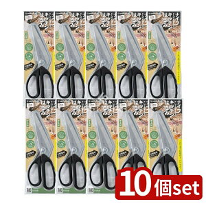 y10Zbgz O[x SJ-K220XeXiCt&Lc`͂ [Pie/1] | O[x XeX iCt Lb`͂ AEghA H@Ή  yeBiCt [