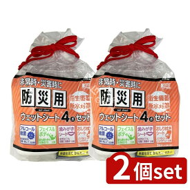 ＼レビュー特典有／【2個セット】 コーヨー化成 NB防災用ウェットシート詰合せ [単品内容量/1個] | 防災ウェットシート コーヤー化成 ウェットシート 防災用 シートセット アルコール除菌 ウェットティッシュ 防災グッズ 除菌シート 日本製 フェイスシート