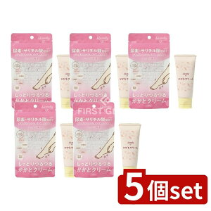 _r[TL^y5Zbgz RXXe[V MamollyƃN[ [Pie/60g] | ƃN[ RXXe[V Mamolly }[ ێN[ Afz T`_ qA