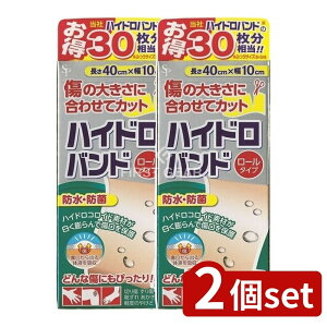 y2Zbgz TCLEEt@[} nChoh[^Cv(N) [Pie/40cm] | nChoh Jnp nChRCh Ë@ ~} ohGCh h 畆ی R pK[