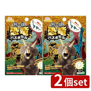 y2Zbgz T^ ̋oX{[2 [Pie/80g] | oX{[ ̋  T^ C 킢LN^[ LbYG oXObY G qpoX{[ 