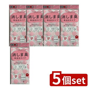 y5Zbgz WpbNX STK12L܍܏LtM [Pie/30] | LȂL LIcS~ LgC s U G`Pbg }i[ lC  舵 Ԃ 