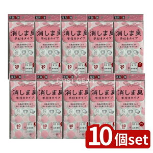 y10Zbgz WpbNX STK12L܍܏LtM [Pie/30] | LȂL LIcS~ LgC s U G`Pbg }i[ lC  舵 Ԃ 