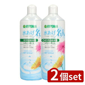 y2Zbgz nC|lbNX l [Pie/600ml] | nC|lbNX ؉  l t[AWg ؉ h{  A Ԋ S { ɗD g₷