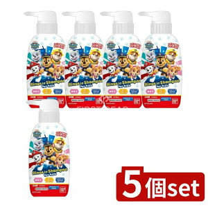 y5Zbgz o_C XCVv[ pEEpg[ [Pie/300ml] | XCVv[ o_C { _ h |v^Cv A~m_n Zbgi ql