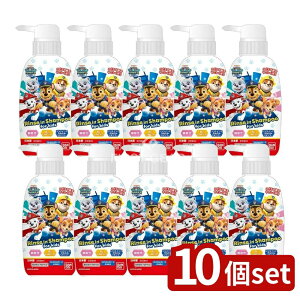 y10Zbgz o_C XCVv[ pEEpg[ [Pie/300ml] | XCVv[ o_C { _ h |v^Cv A~m_n Zbgi ql