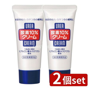 _r[TL^y2Zbgz t@CgDfC Af10p[ZgN[(`[u) [Pie/60g] | t@CgDfC AfN[ Af10p[Zg N[ 葫 r JT 