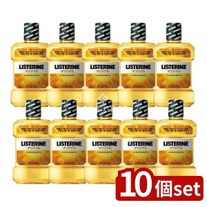 y10Zbgz JNTL pXe IWi [Pie/1L] | pXe }EXEHbV I[PA t Xe 򕔊Oi Xe IWi f^X 