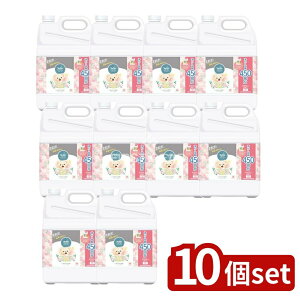 y10Zbgz NSt@[t@ t@[t@Xg[[_܂킹̉ԑ  [Pie/4500ml] | t@[t@ _ Xg[[ j[A 킹̉ԑ R hL  { 