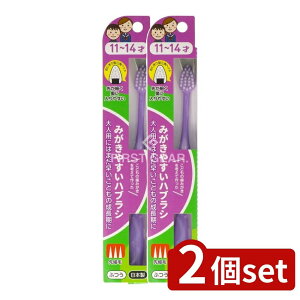 y2Zbgz CtW ݂₷͂Ԃ炵 11~14  LT-41 [Pie/1{] | CtW uV ݂₷   WjA qp w w ɂ^  O