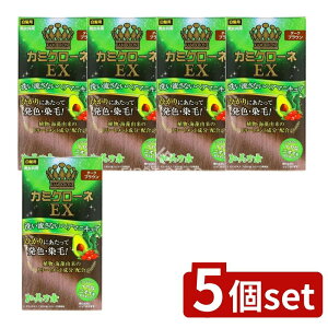 _r[TL^y5Zbgz Tf{ J~N[lEX _[NuE [Pie/80ml] | Tf wA}jLA _[NuE  J~N[l sv WF^Cv {