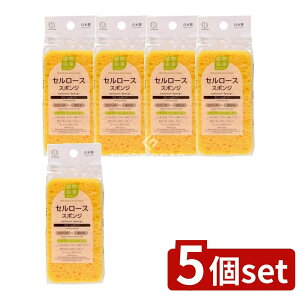 y5Zbgz v Z[XX|W [Pie/1] | Lb`X|W Z[XX|W vۍHƏ H􂢃X|W A@ AX|W {X|W 