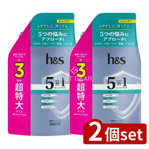 �_���r���[���T�L�^�y2�Z�b�g�z P&G h&s 5in1 �}�C���h���C�X�`���[ �V�����v�[ �߂���������T�C�Y [�P�i���e��/850g] | h&s �V�����v�[ h��s 5in1 �V�����v�[ �}�C���h���C�X�`���[ �[�C�~�l��