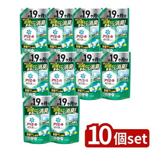 y10Zbgz P&G AG[WFvX߂EgW{TCY [Pie/1400g] | AG[   t v~A l EgW{ pi  