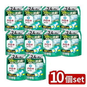 y10Zbgz P&G AG[WFvX߂EgW{TCY [Pie/1720g] | AG[   EgW{ P&G {  WF p