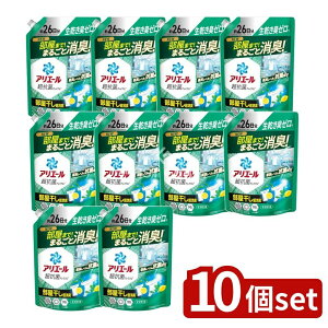 y10Zbgz P&G AG[WFvX߂TCY [Pie/625g] | AG[  WF ōR Rې 1 c^ @ h uܖz 