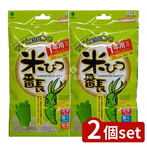 y2Zbgz v ĂтԒ 1Np [Pie/1] | ĂтԒ { h  ۑ Hih R VR Tr Ă̕ۊ  [ gp vۍHƏ Iz