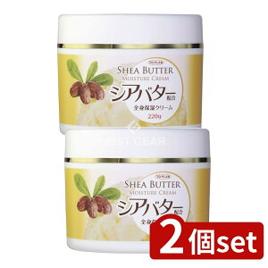 y2Zbgz ̔ VAo^[zSgێN[ [Pie/220g] | gv VAo^[ SgێN[ XLCX`[N[ VAo^[z qA_ t 