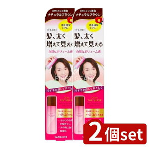 _r[TL^y2Zbgz {X fB[XgbvVF[hXv[ EBbORɂȂތIF [Pie/100g] |  Xv[EBbO IF fB[XEBbO F k 