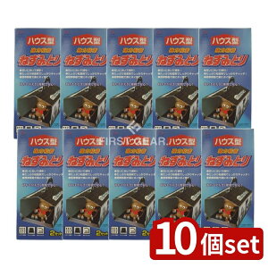 y10Zbgz ۑPiY DN͂˂݂ƂnEX^ [Pie/2] | htB ˂݂Ƃ ˂ݕߊl nEX^˂݂Ƃ S˂݂Ƃ 䏊p ڂȂ ptBbg Â