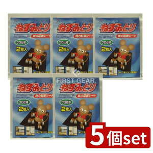 _r[TL^y5Zbgz ۑPiY ͂˂ݎ [Pie/2] | lY~쏜 lY~ ͔SV[g O SV[g 쏜V[g ˂ݕ߂ ˂݃gbv q