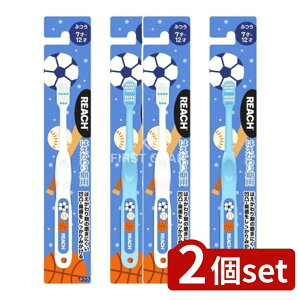 _r[TL^y2Zbgz Xet@j[ϕi [` LbY uV {[ ͂p ӂ [Pie/1{] | Xet@j[ uV LbY REACH [` qp 