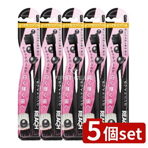 y5Zbgz Xet@j[ϕi [` zCgjO ubNp[ ƂĂRpNg ӂ [Pie/1{] | Xet@j[ zCgjO ubNp[ uV 