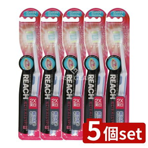 y5Zbgz Xet@j[ϕi [` zCgjOEX RpNg 炩 [Pie/1{] | Xet@j[ zCgjO REACH  v[N 炩 RpN