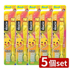 y5Zbgz Xet@j[ϕi [`LbY |PbgX^[tBMAt [Pie/1{] | [`LbY uV |P uV炩 tBMAt [`u