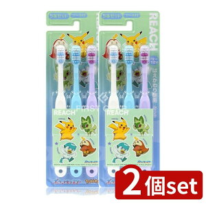 _r[TL^y2Zbgz Xet@j[ϕi [`LbY(V[)|P͂2020 [Pie/3{] | Xet@j[ [`LbY nuV |P ǂ