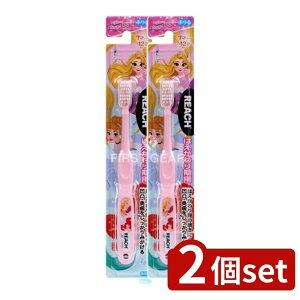 _r[TL^y2Zbgz Xet@j[ϕi [`LbYvZX͂p [Pie/1{] | Xet@j[ [` LbY uV vZX qp fBY