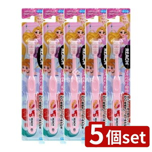 _r[TL^y5Zbgz Xet@j[ϕi [`LbYvZX͂p [Pie/1{] | Xet@j[ [` LbY uV vZX qp fBY