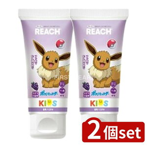 y2Zbgz Xet@j[ϕi [`LbY݂(Ԃǂ) [Pie/60g] | Xet@j[ [` ݂ LbY Ԃǂ  WF tbf LVg[ lC L