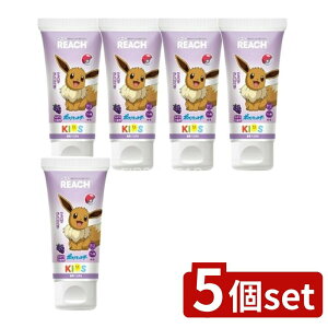 y5Zbgz Xet@j[ϕi [`LbY݂(Ԃǂ) [Pie/60g] | Xet@j[ [` ݂ LbY Ԃǂ  WF tbf LVg[ lC L