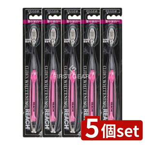 _r[TL^y5Zbgz Xet@j[ϕi [`NCf uV 炩 [Pie/1{] | Xet@j[ uV [` NCf 炩 gvt