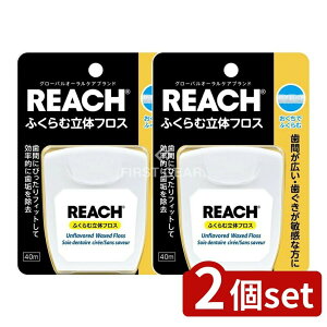 _r[TL^y2Zbgz Xet@j[ϕi [`ӂޗ̃tX [Pie/40m] |  f^tX ӂ [` Xet@j[ ԃtX f^PA_炩