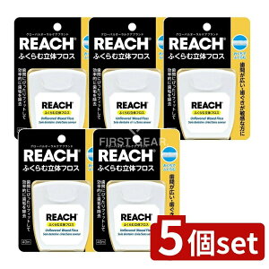 _r[TL^y5Zbgz Xet@j[ϕi [`ӂޗ̃tX [Pie/40m] |  f^tX ӂ [` Xet@j[ ԃtX f^PA_炩