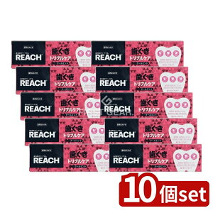 y10Zbgz Xet@j[ϕi [`gvPA݂ [Pie/120g] | Xet@j[  gvPA o CPC DPG vitE 򕔊Oi  oPA f^P