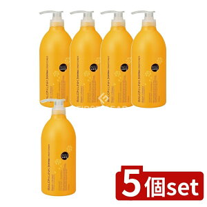 _r[TL^y5Zbgz F TN GNXg RfBVi[ CƂ߂؂₩ȋ؍҂̍ [Pie/1000ml] | F RfBVi[ GNXg T