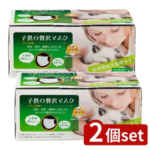 �_���r���[���T�L�^�y2�Z�b�g�z ���c�Y�� �q���̂�����}�X�N [�P�i���e��/30��] | �q���p�}�X�N ������}�X�N ���c�Y�� �}�X�N�Z�b�g �ʊw�}�X�N ���H���ԃ}�X�N �s�D�z�}�X�N 99%�J�b�g�t