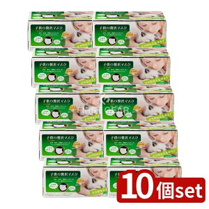 �_���r���[���T�L�^�y10�Z�b�g�z ���c�Y�� �q���̂�����}�X�N [�P�i���e��/30��] | �q���p�}�X�N ������}�X�N ���c�Y�� �}�X�N�Z�b�g �ʊw�}�X�N ���H���ԃ}�X�N �s�D�z�}�X�N 99%�J�b�g