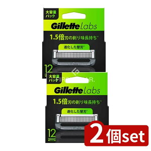 y2Zbgz P&G Wbg{po[ڑ֐n [Pie/12] | E ֐n Wbg 䓁 Y Gillette Labs J~\ jp E֐n O[~O Sn PA tFCX