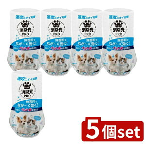 y5Zbgz ѐ LPRO ybg  [Pie/400ml] | LybgLѐ򖳍L܏LtB^[L蒲߃vtFbVi