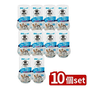 y10Zbgz ѐ LPRO ybg  [Pie/400ml] | LybgLѐ򖳍L܏LtB^[L蒲߃vtFbVi