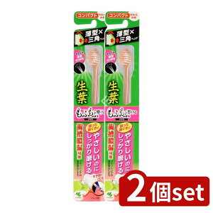 �_���r���[���T�L�^�y2�Z�b�g�z ���ѐ��� ���t ���ӂ��Ӗ�����u���V �R���p�N�g [�P�i���e��/1�{] | ���t �n�u���V ���ѐ��� ������u���V �R���p�N�g �ɍז� 4������ �₳�����n�u���V ��