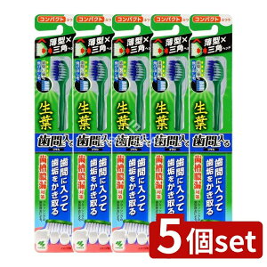 y5Zbgz ѐ tԂɓuV RpNg ӂ [Pie/1{] | t uV ԃuV ӂ RpNg  | I[PA { ѐ XpC 