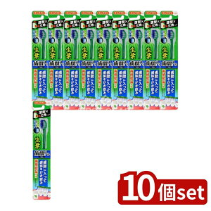 y10Zbgz ѐ tԂɓuV RpNg ӂ [Pie/1{] | t uV ԃuV ӂ RpNg  | I[PA { ѐ XpC 